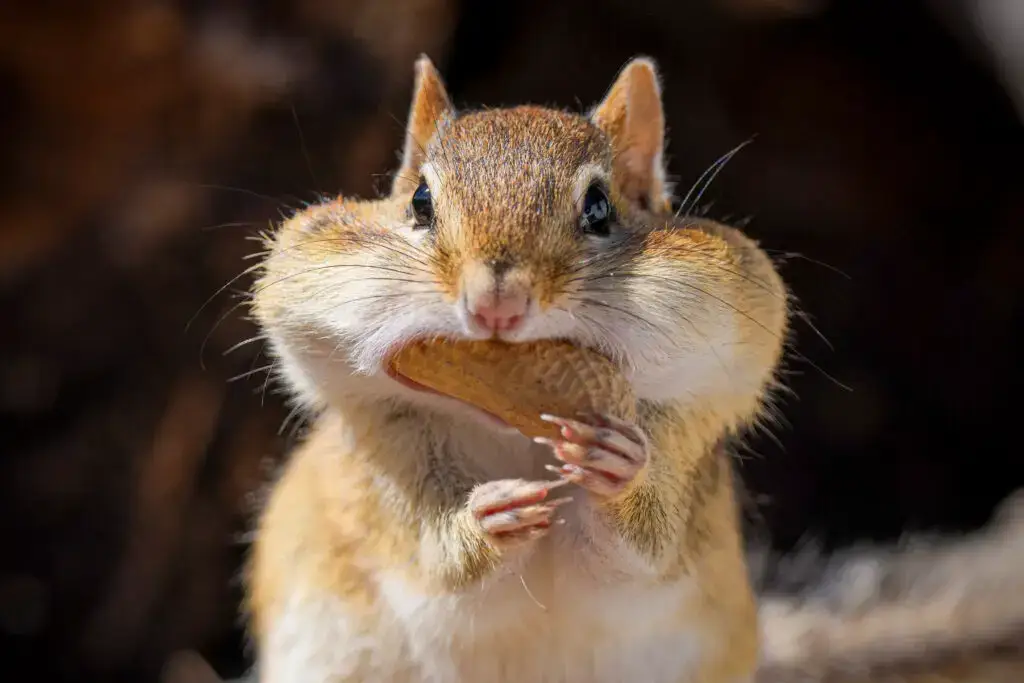 Stop overeating in retirement